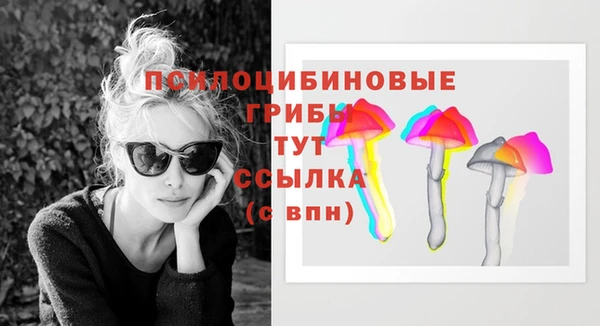 ECSTASY Новодвинск