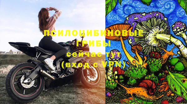 альфа пвп Нязепетровск