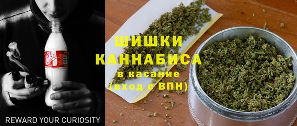 гашик Нягань