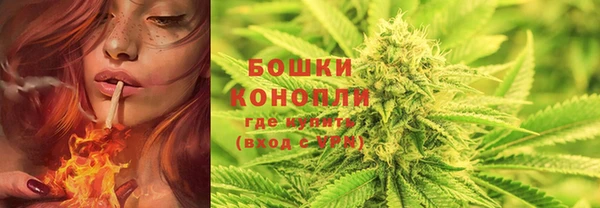 2c-b Осташков