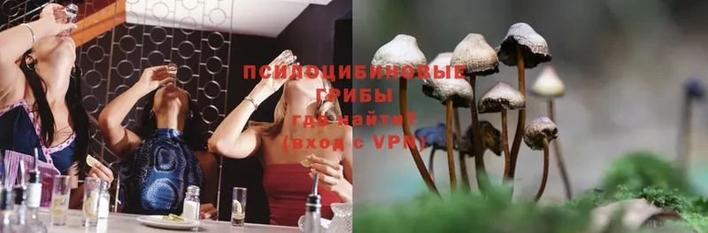 Галлюциногенные грибы MAGIC MUSHROOMS  где купить наркотик  гидра зеркало  Майский 