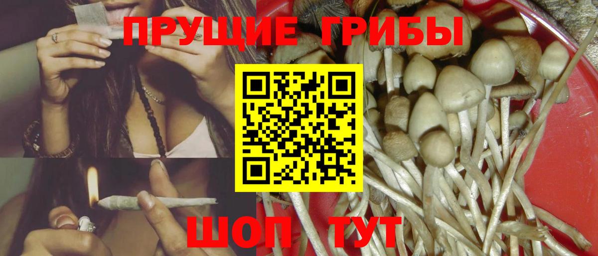 Галлюциногенные грибы Psilocybe  Псилоцибиновые грибы мицелий  Майский  Вход с VPN 